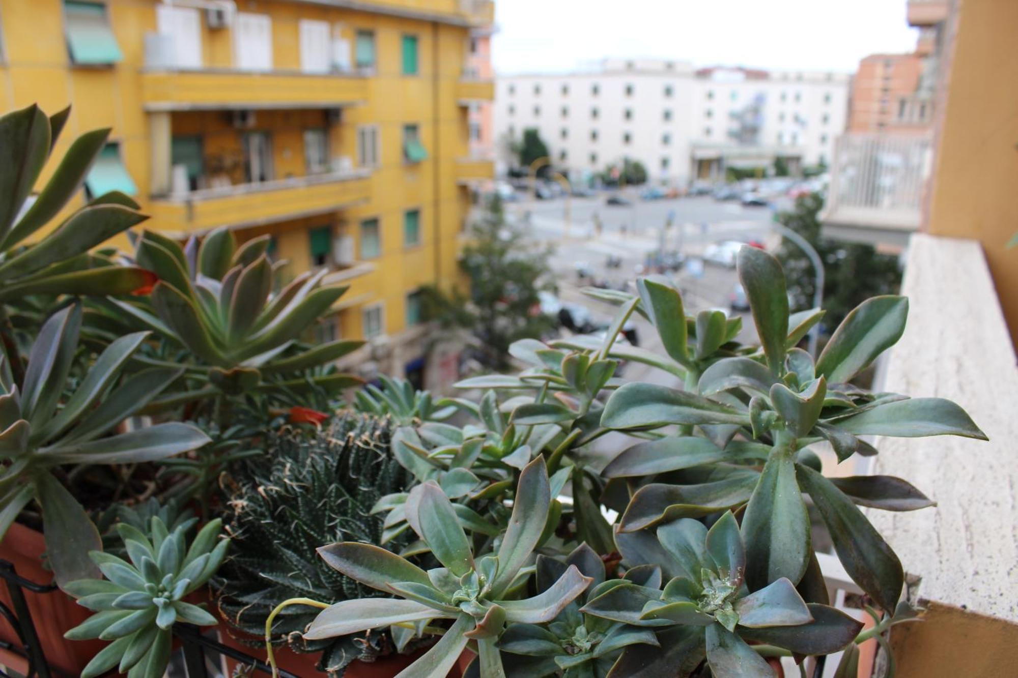 B&B Arianna Rome Buitenkant foto