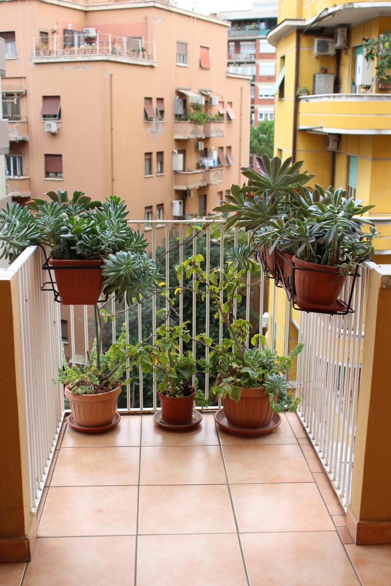 B&B Arianna Rome Buitenkant foto